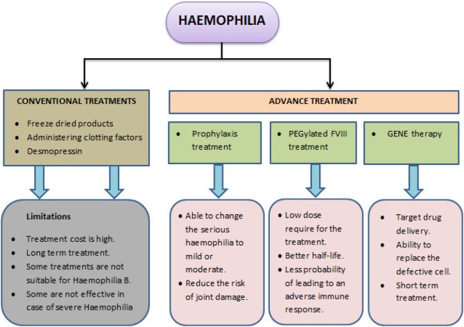 Treatment Plan
